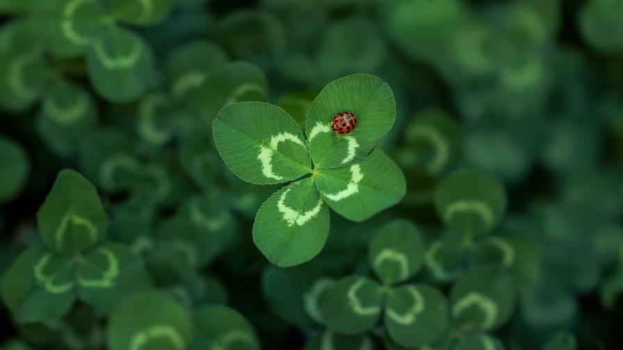 Immagine anteprima di DOUBLE LUCK