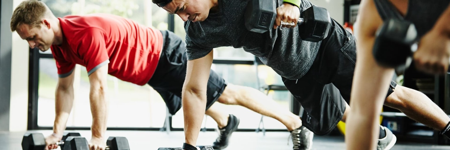 Immagine anteprima di B)Functional