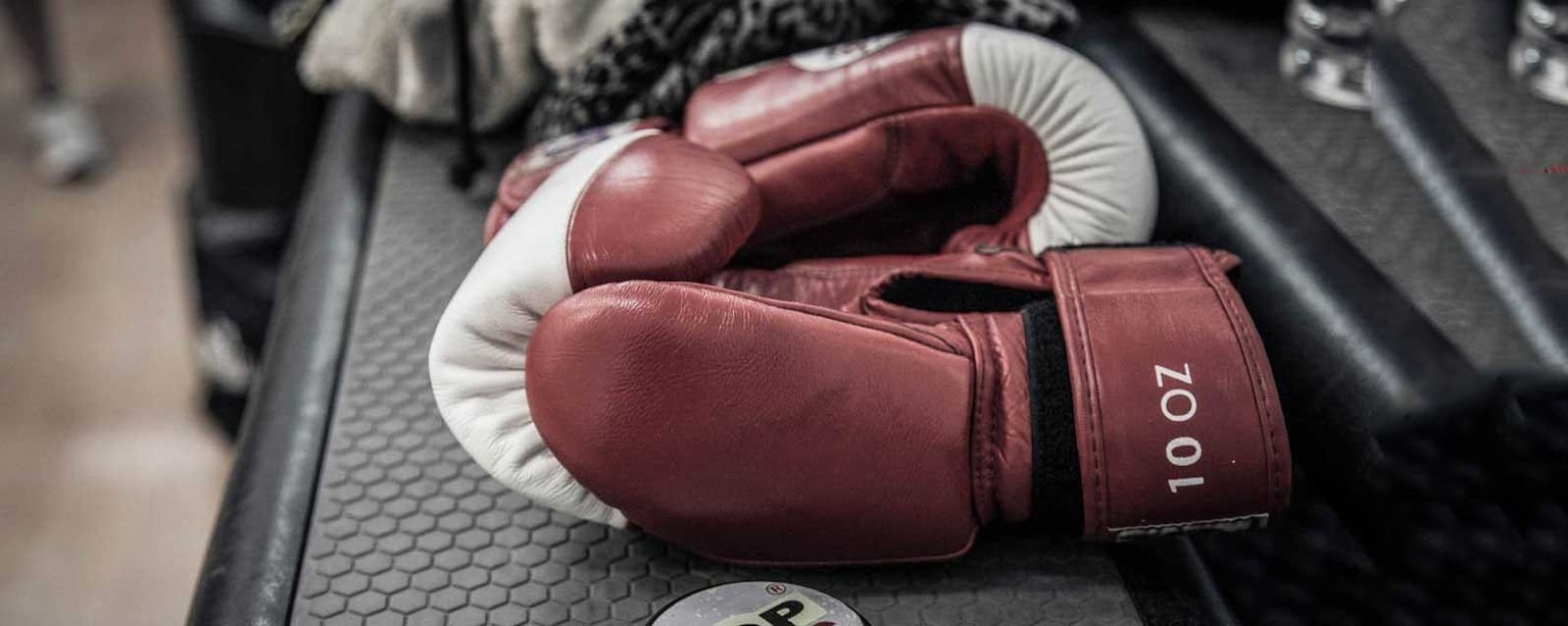 Immagine anteprima di Boxe