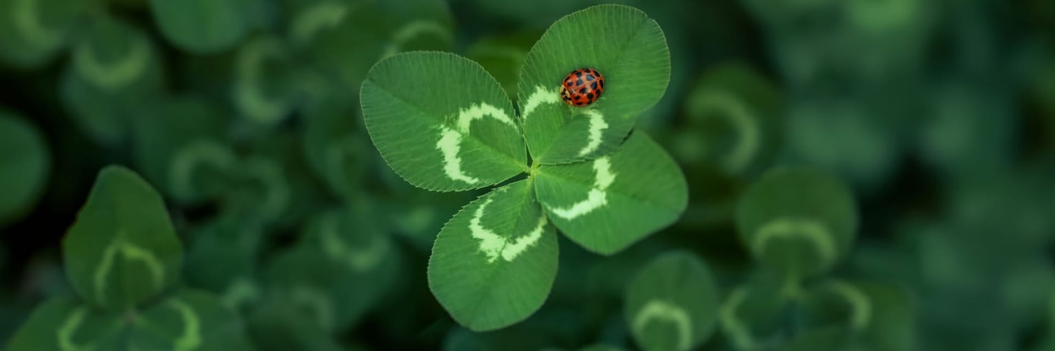 Immagine anteprima di DOUBLE LUCK